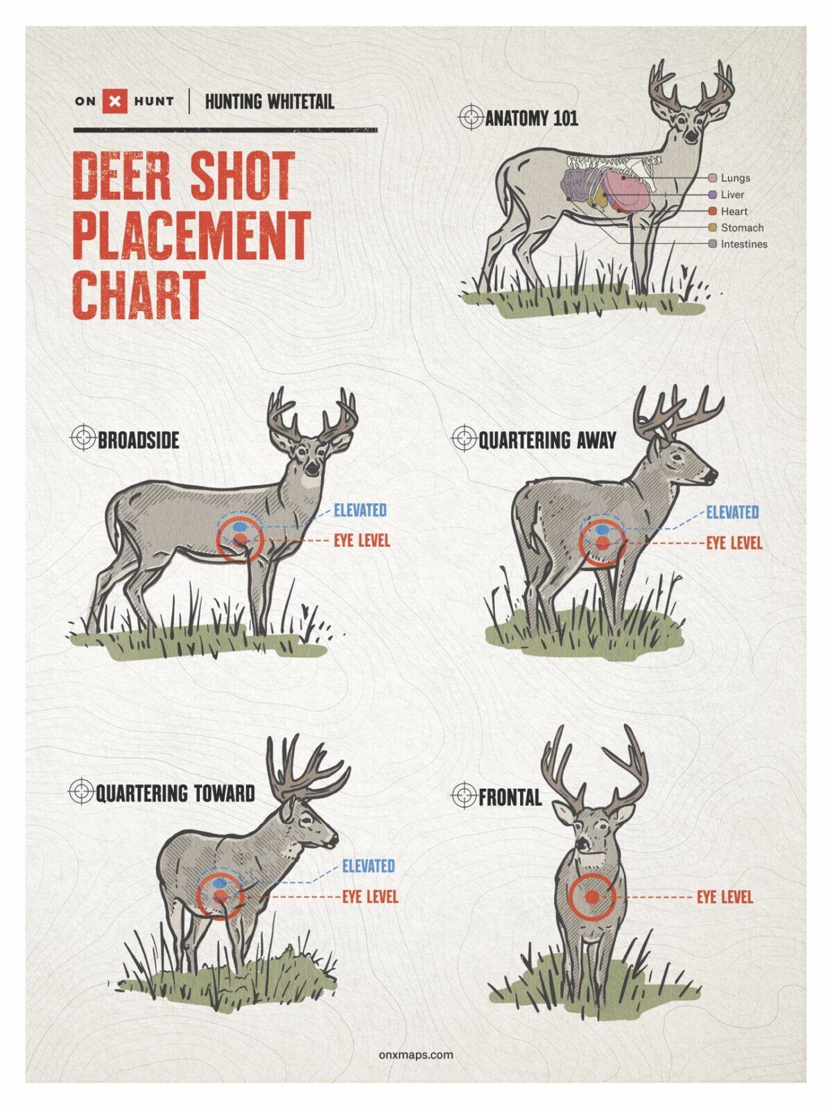 Shot Placement Chart